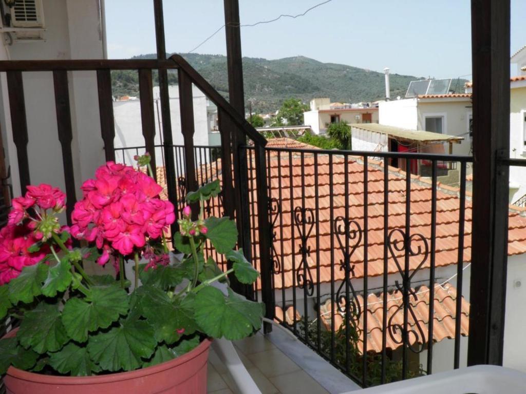 Eleni'S House Skiathos Esterno foto